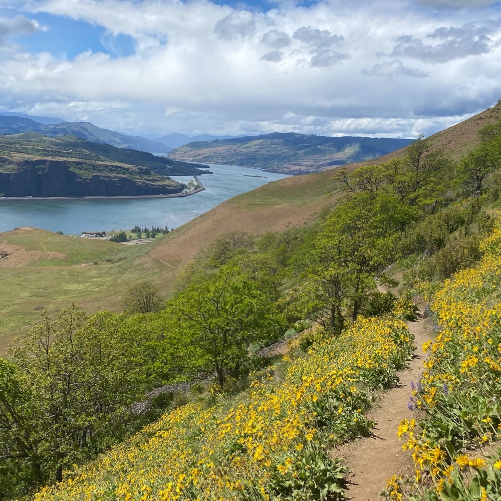 Meet your Posher, Autumn